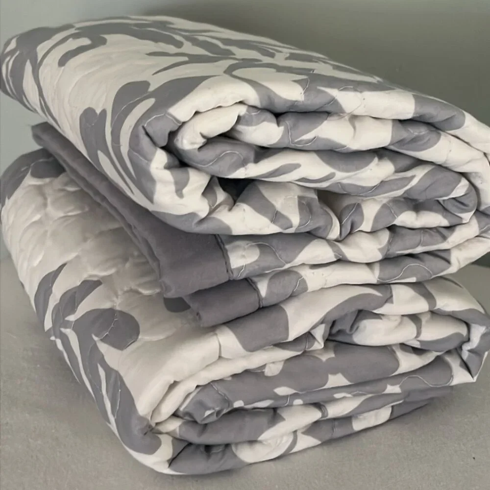 Set‎ of 2 Target King Size Pillow Shams (20